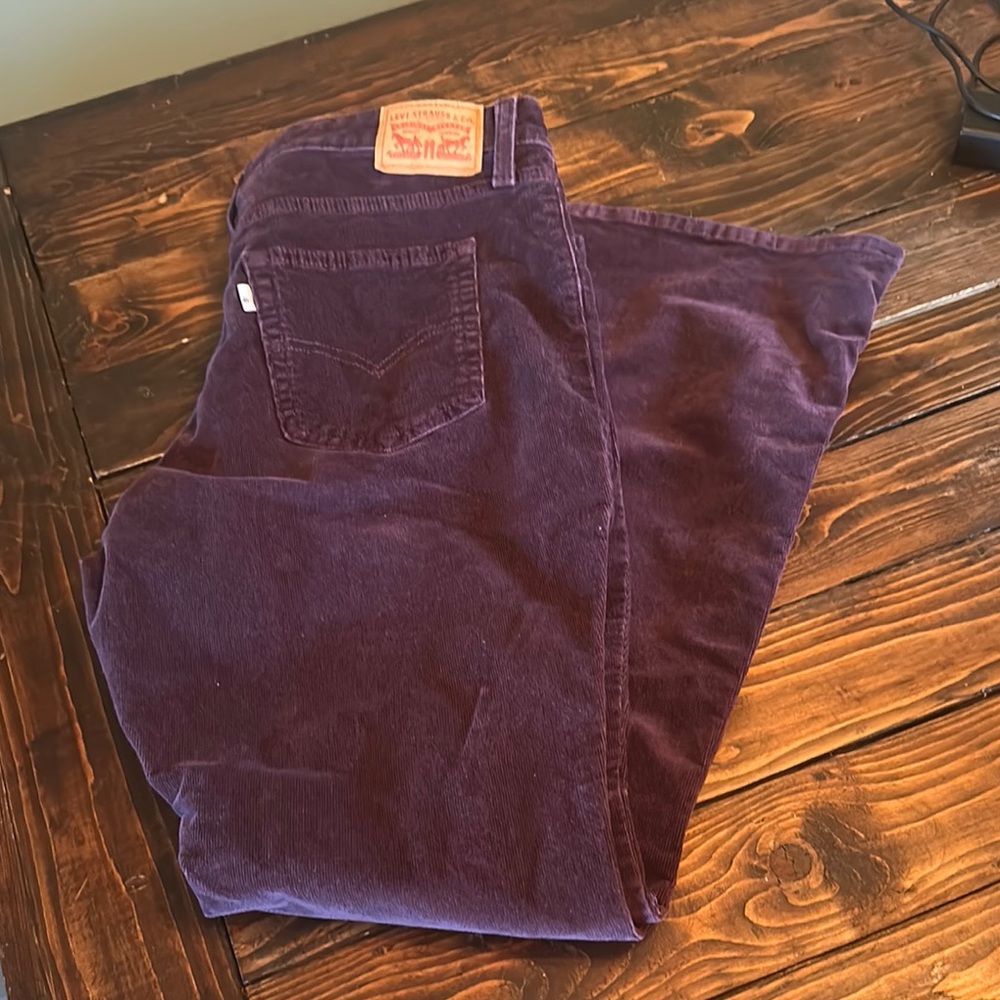 Purple Corduroy Pants